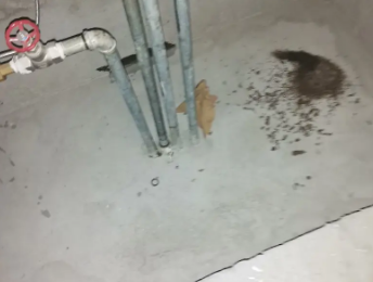 达孜卫生间测漏水价格明细