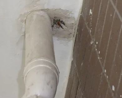 达孜漏水检测哪家好